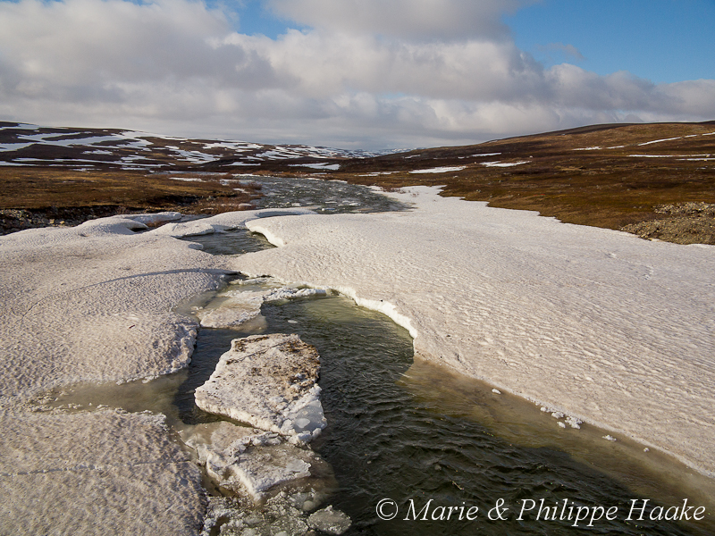 Finnmark 1106.jpg - Le long de la peu fréquentée route 98, en direction du Porsangerfjord (Norvège, juin 2012)